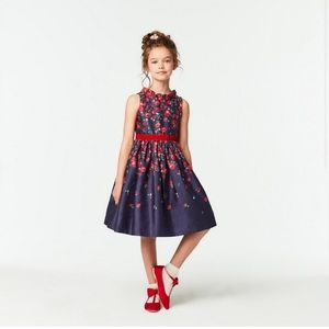 American Girl x Janie And Jack Wrapped In Roses Party Dress NWT